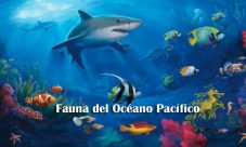 Fauna del Océano Pacifico
